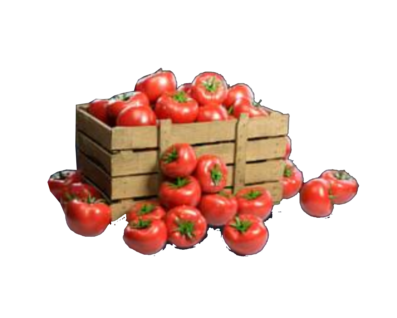 Пропуск еды 7 дн